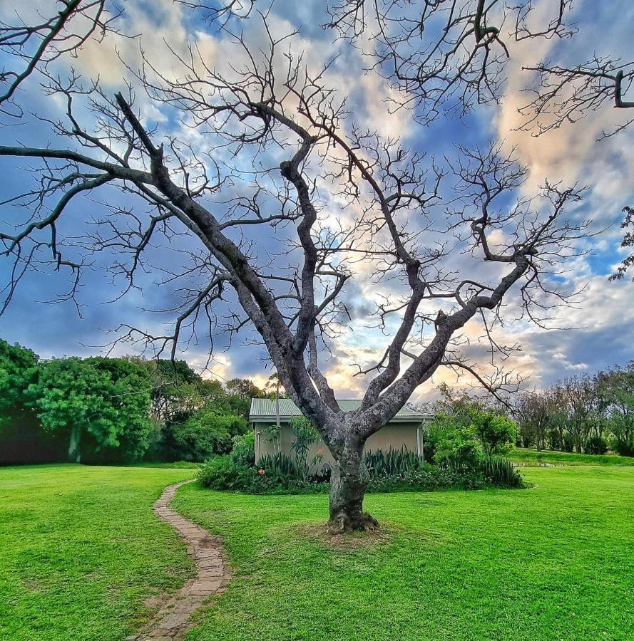 Oppieplaas Country Estate Villa Haga Haga Exterior photo